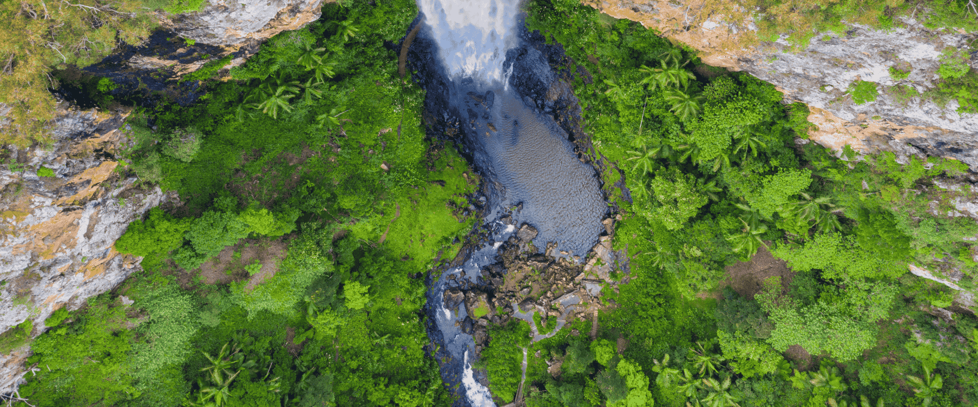 Waterfall in rainforest