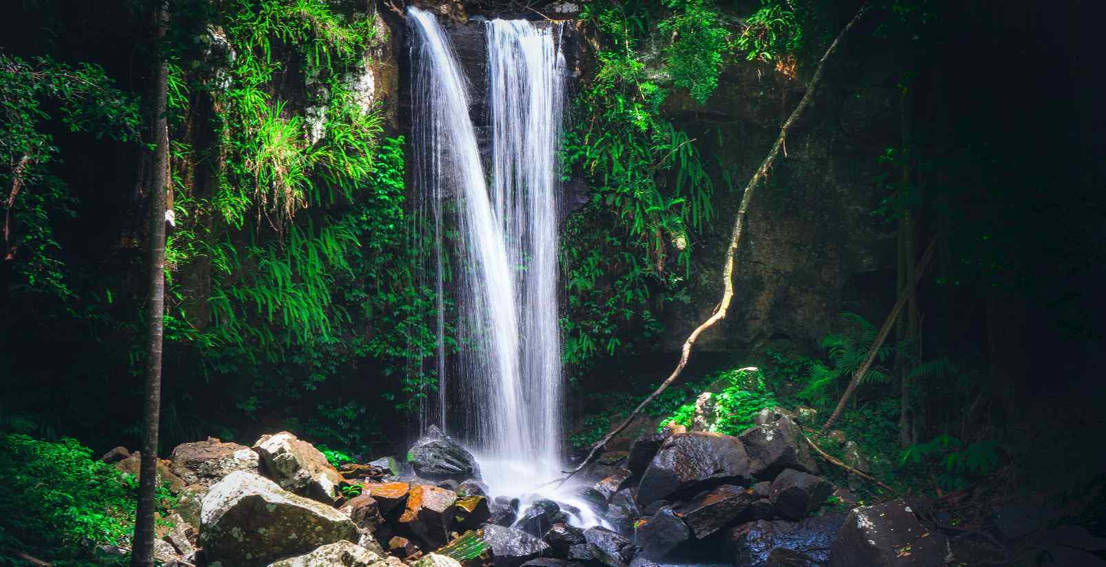 Curtis Falls