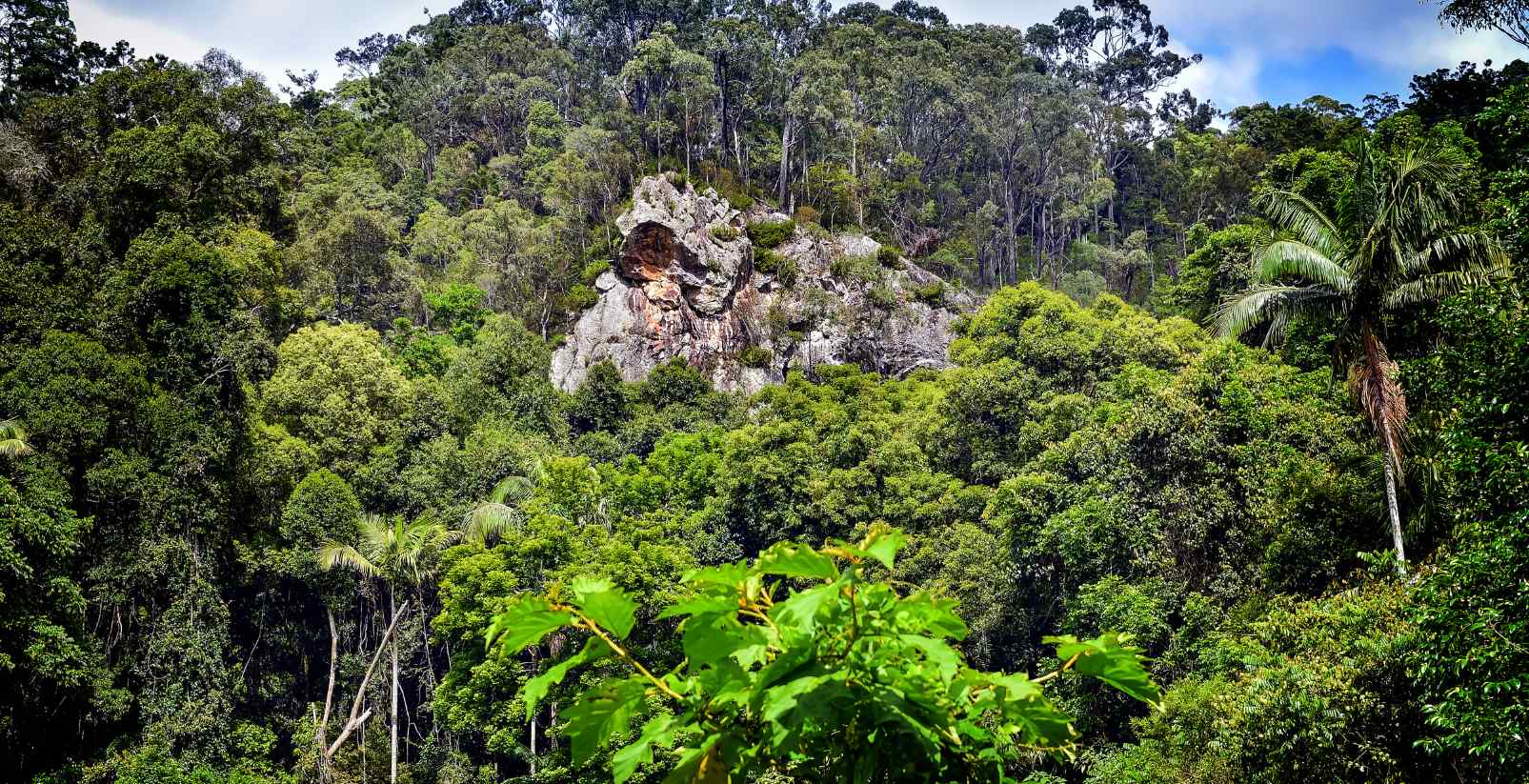 Rocks on mt Tamborine