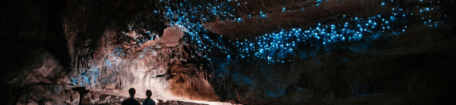 Where to find glow worms on the Gold Coast