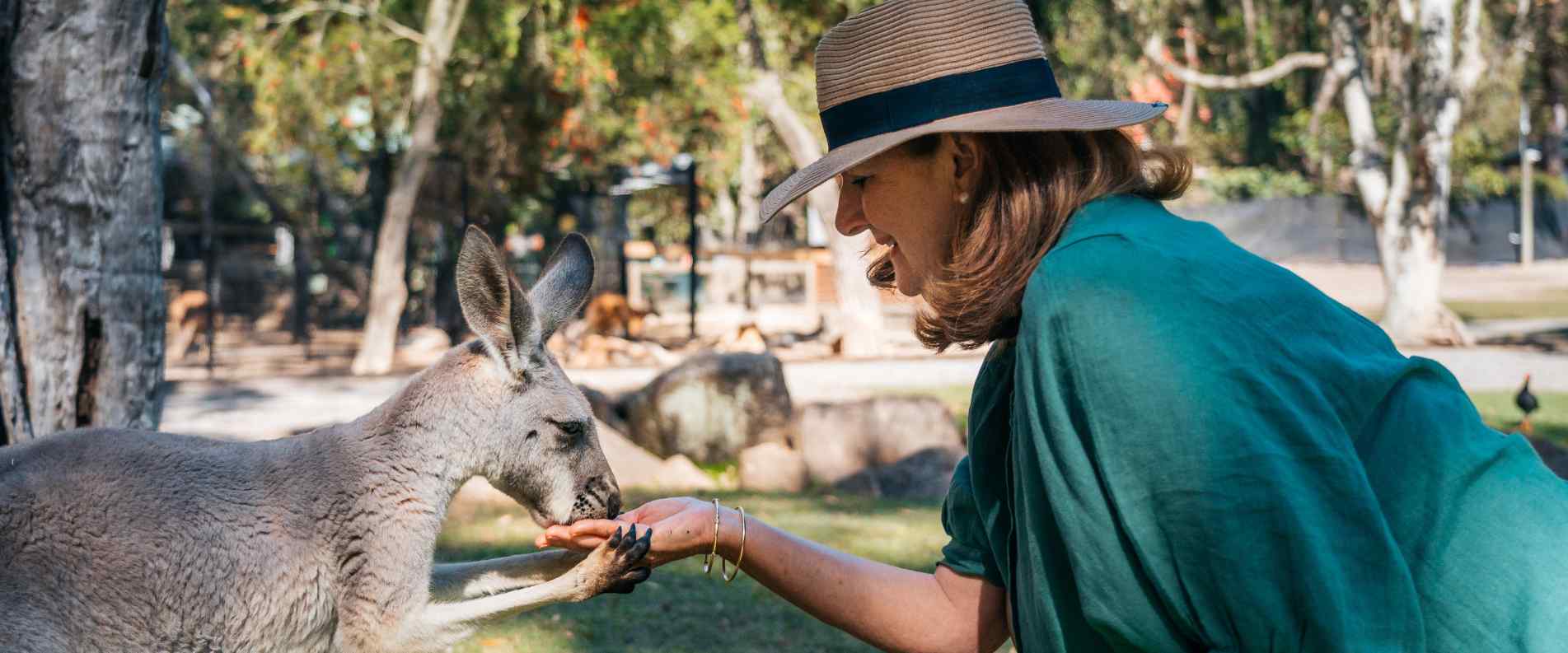 Woman feeding Kangaroo