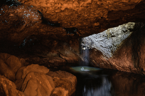Glow Worms in Springbrook National Park