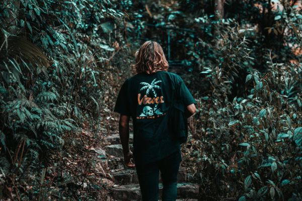 Hiking in Springbrook National Park