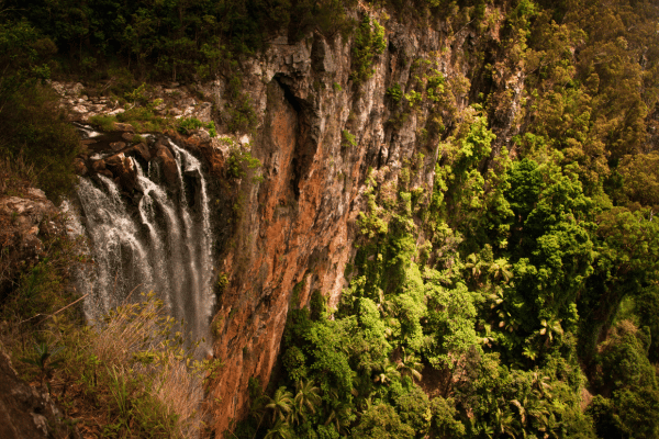 Purling Brook Falls in Springbrook National Park