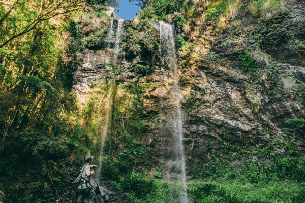 Twin Falls in Springbrook National Park