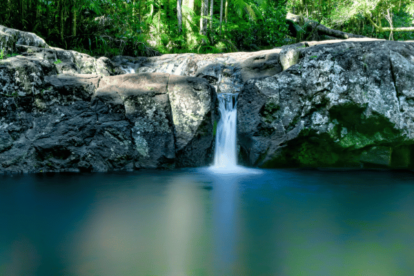 Warringa Pool in Springbrook National Park