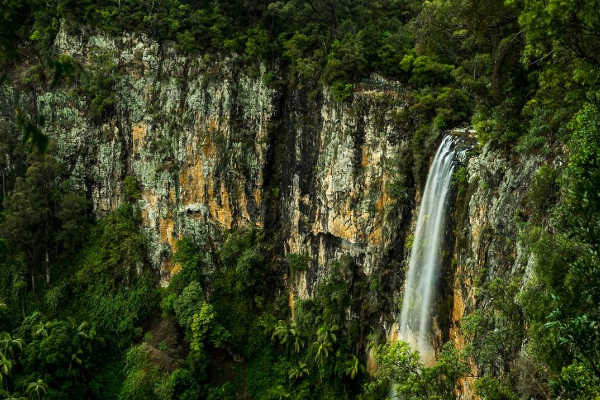 Purling Brook Falls, QLD