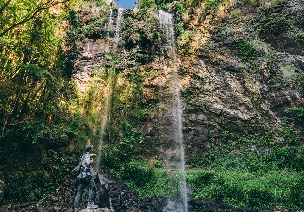 Twin Falls Springbrook